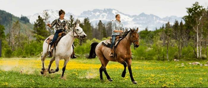 Confident plus-size woman riding Clacton a horse through a field with a smile on her face.